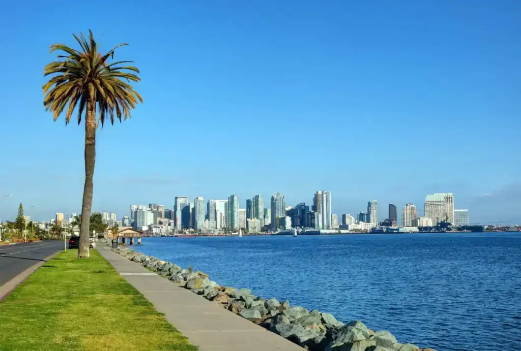 San Diego County skyline with iconic palm tree and bay view representing the geographic service area for Method Roofing Group commercial and residential roofing services